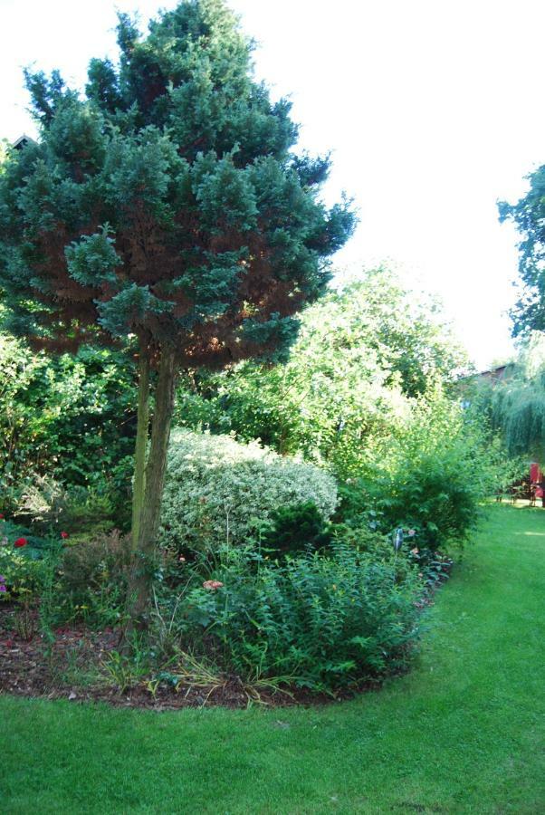 Ferienwohnung Aronia Warlow Extérieur photo